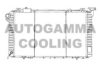 AUTOGAMMA 102191 Radiator, engine cooling